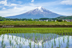 田植終えて