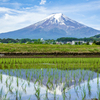 田植終えて