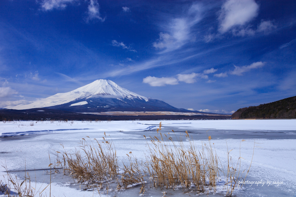 平野冬景色