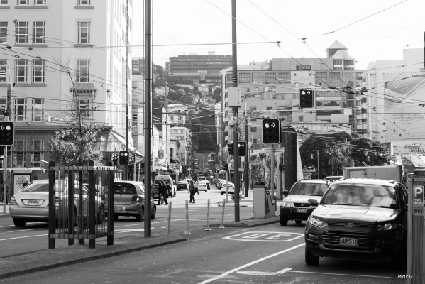 Wellington city2 