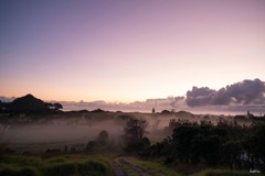 Great Barrier Island
