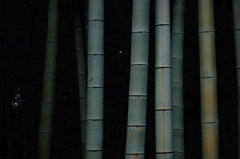 y軸