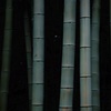 y軸