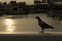 20150607-_IMG2008