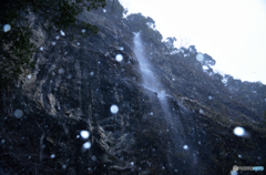 冬の灌頂ヶ滝