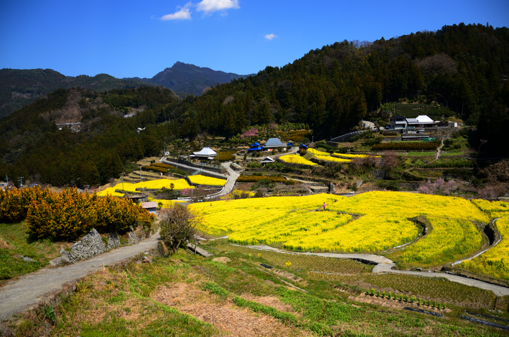 20150328-神山-江田-02