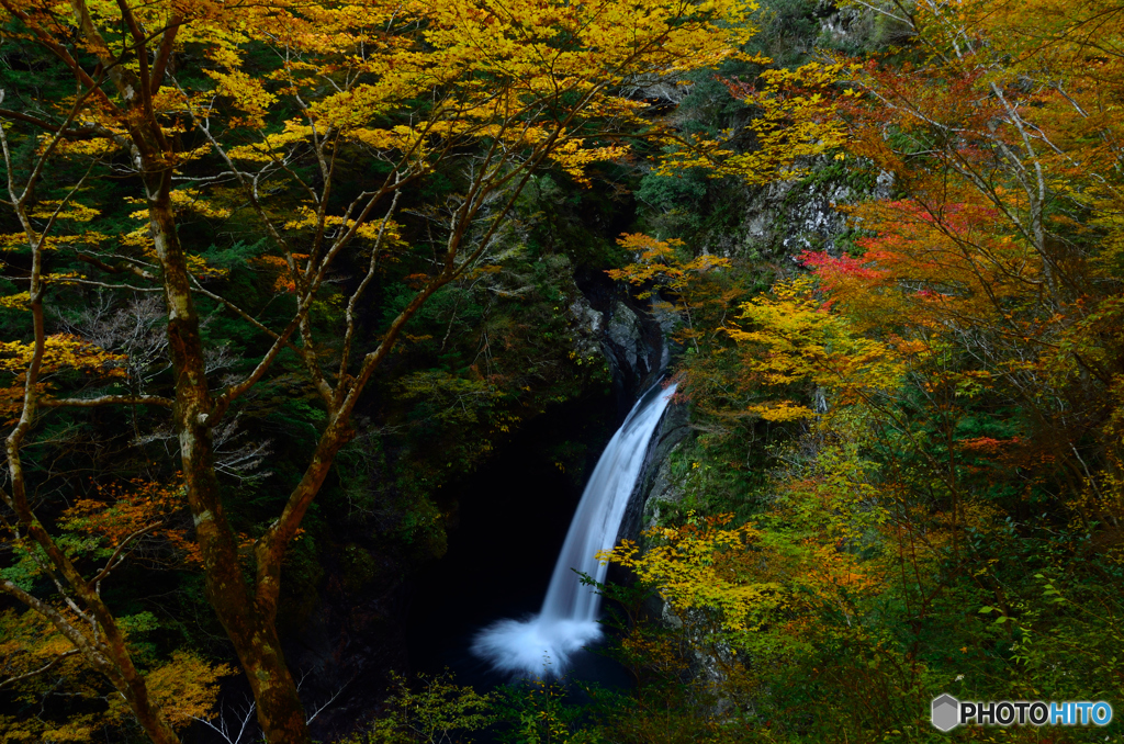 紅と黄色と緑と青と