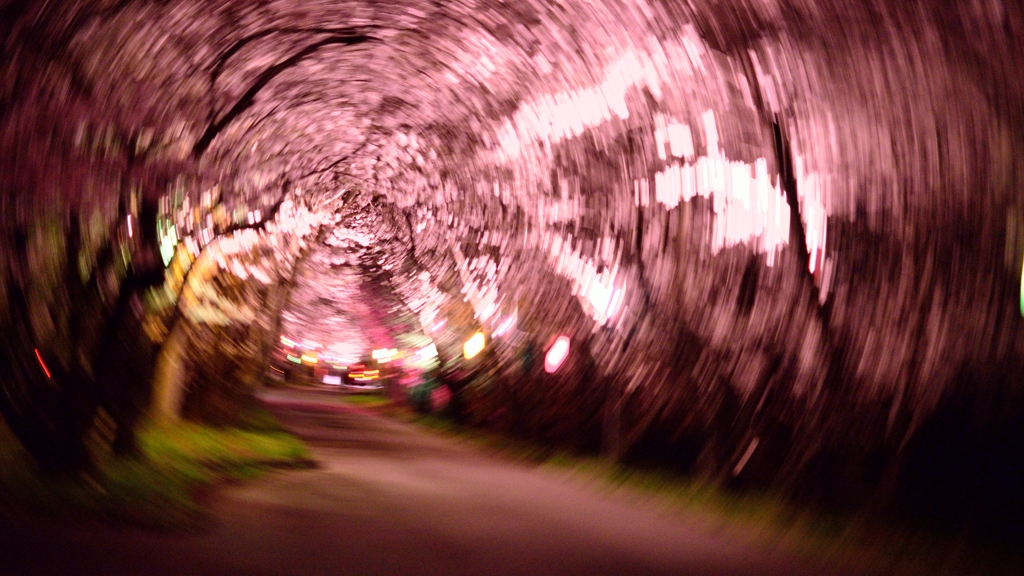 201403-岩脇公園-02