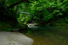 20150523-上勝-谷口-01
