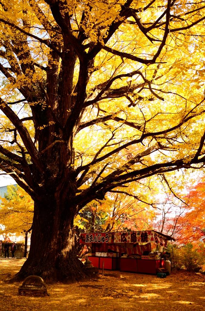 20141123-上板-大山寺-02