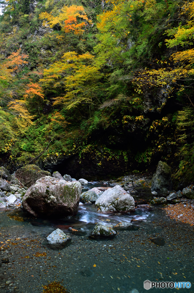 秋の気配-2