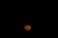 Red Moon