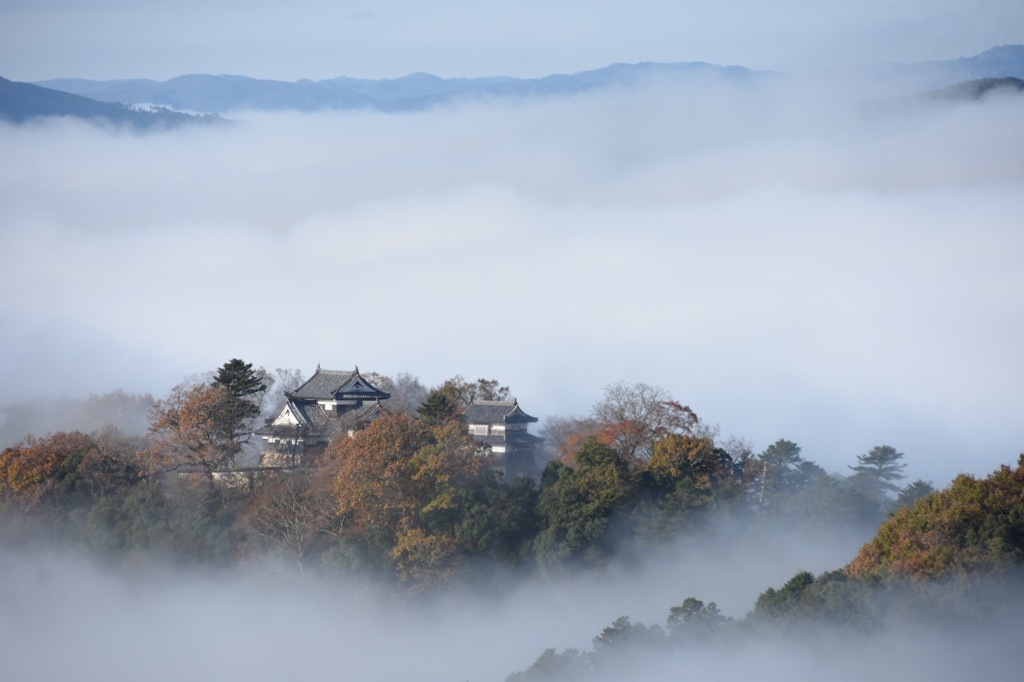雲海
