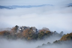 雲海