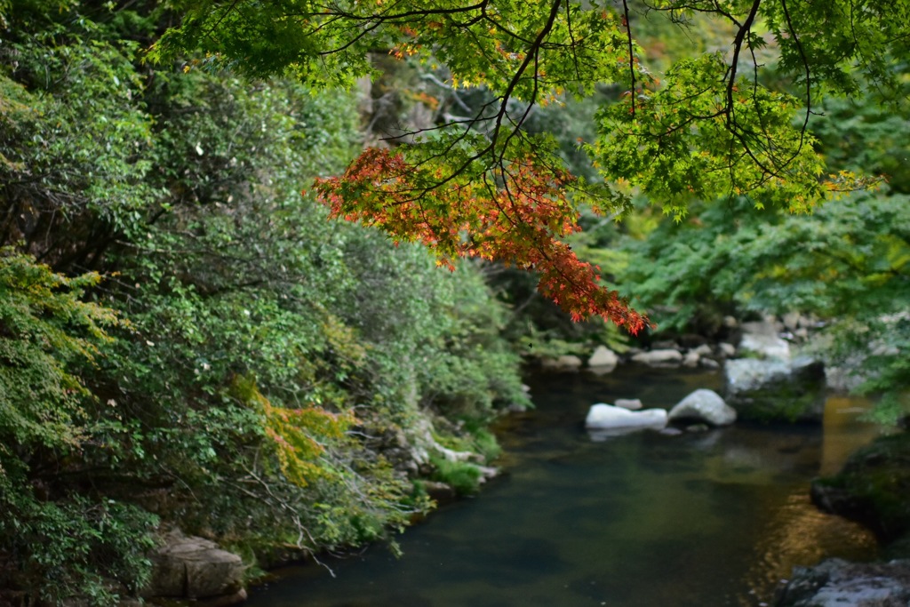 水際