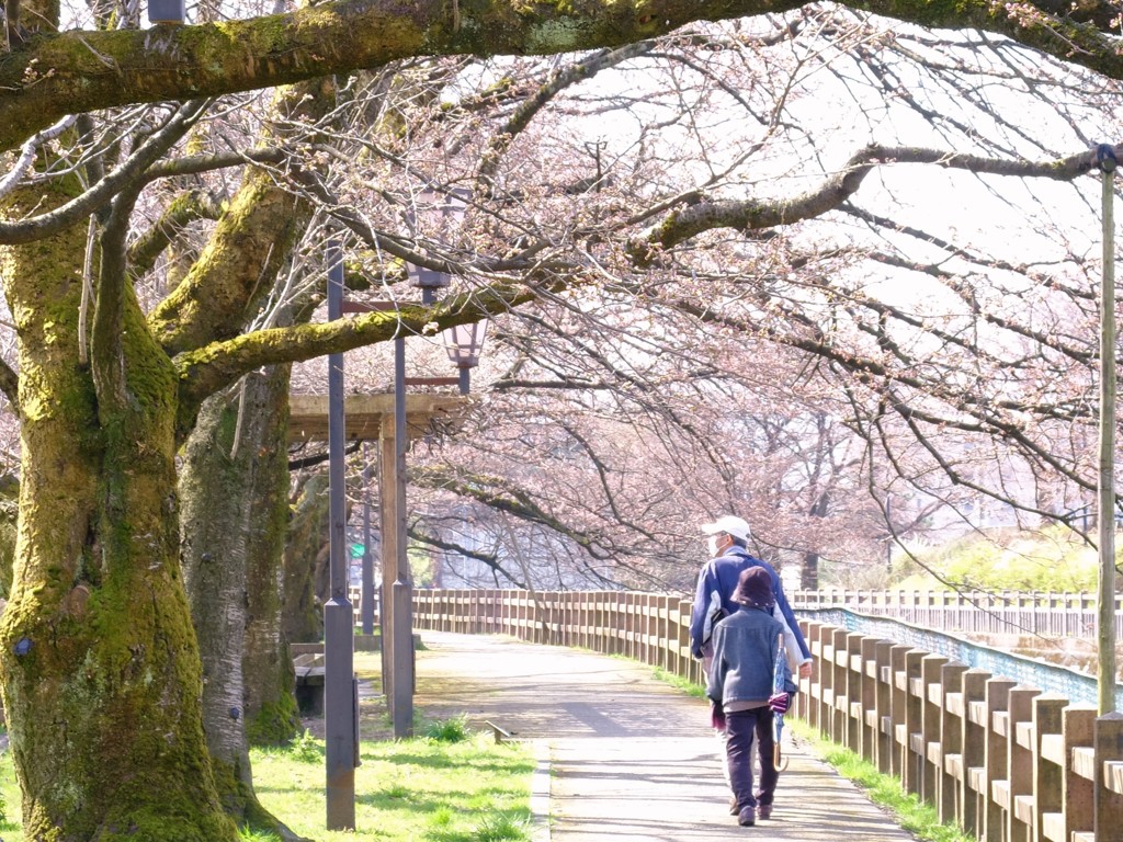 さんぽ