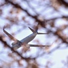 桜色飛行機
