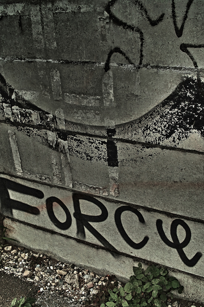 force