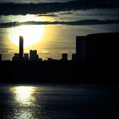 Toyosu Sunsets 