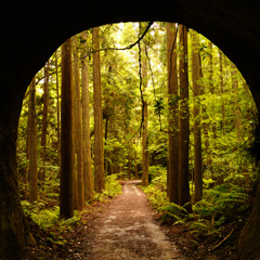 隧道