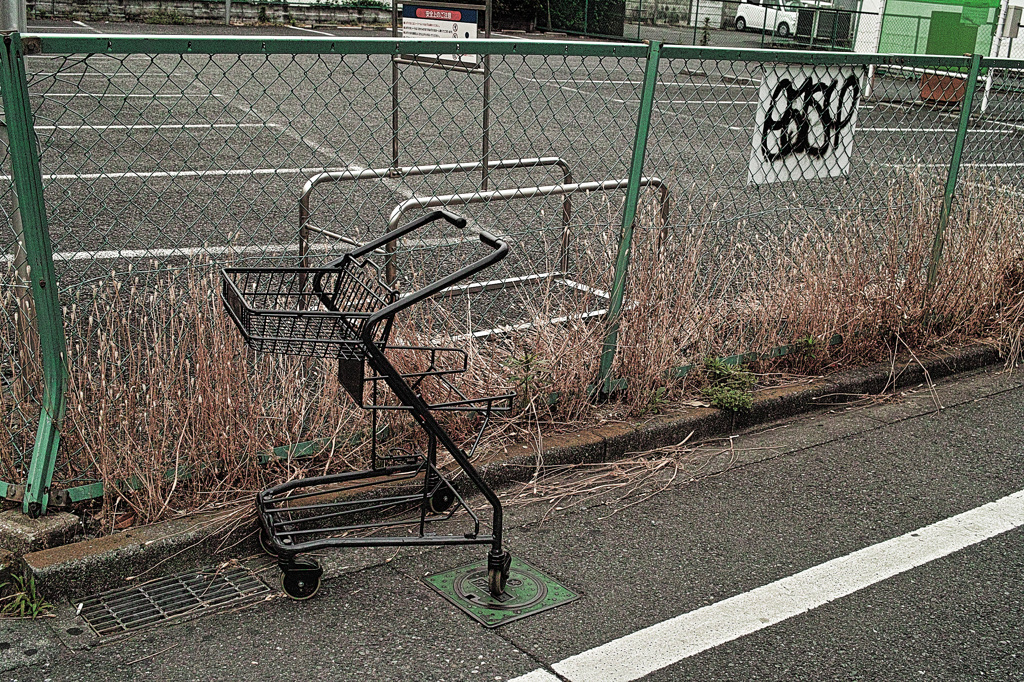 shopping cart