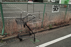 shopping cart