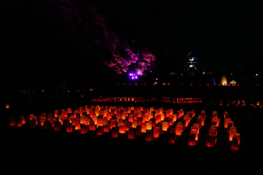 ライトアップ２