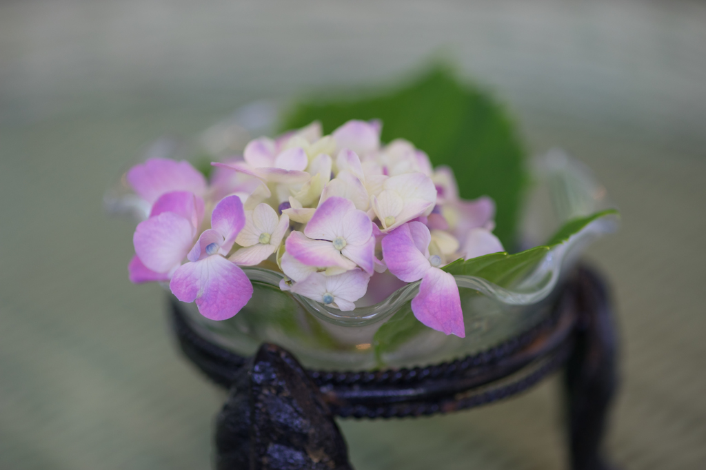 ブラフ18番館　#5