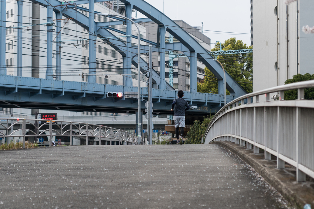 大岡川スナップ