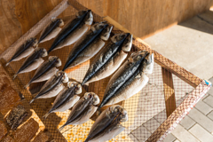 2021-08-07 城ヶ島