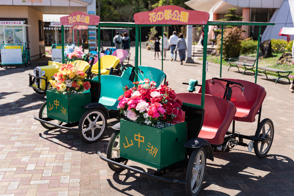 山中湖　花の都公園