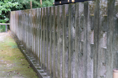 鎌倉　鶴岡八幡宮