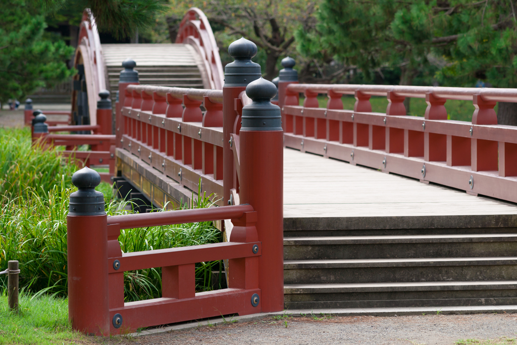 称名寺スナップ