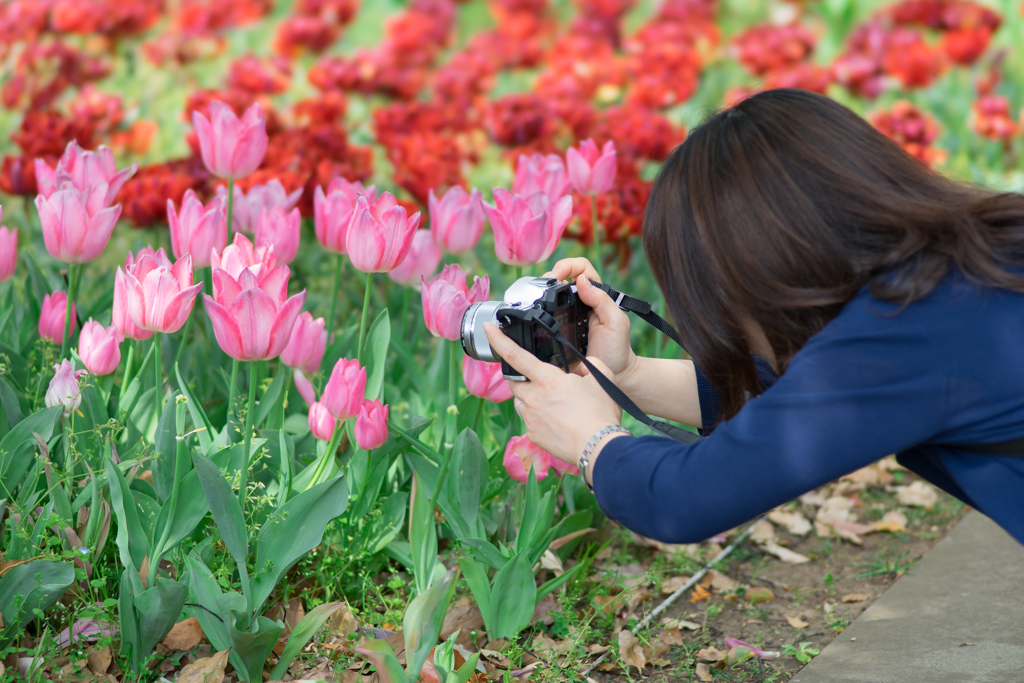 横浜公園の花