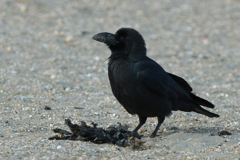 2021-02-14 材木座海岸