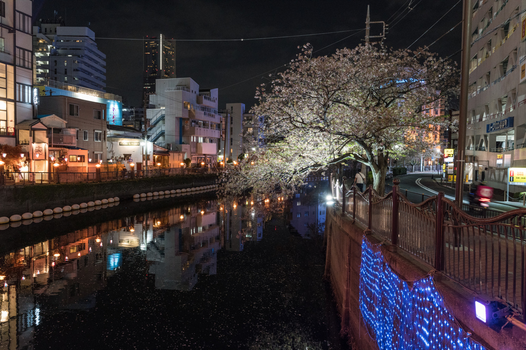 野毛　夜スナップ