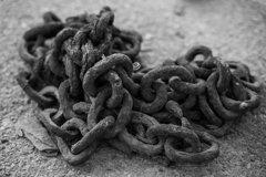 秋谷モノクロスナップ