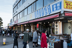 江ノ島スナップ