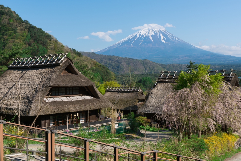 西湖いやしの里根場