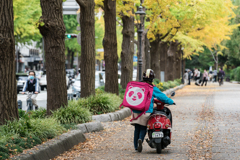 山下公園　紅葉