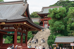 鎌倉　鶴岡八幡宮