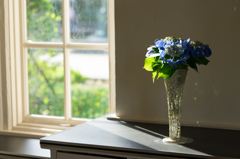 西日の当たる窓