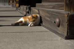 秋の称名寺