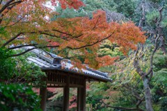 平塚総合公園　日本庭園