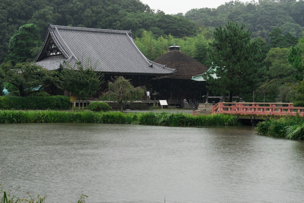 彼岸花の季節　称名寺