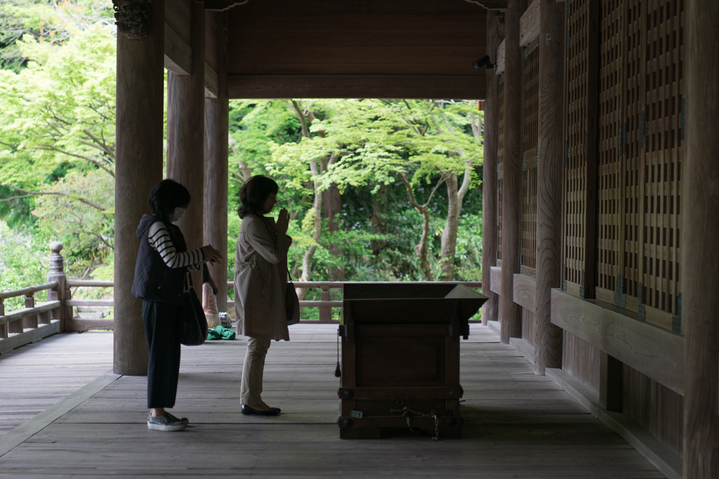 妙本寺