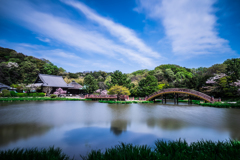 2017　春の称名寺