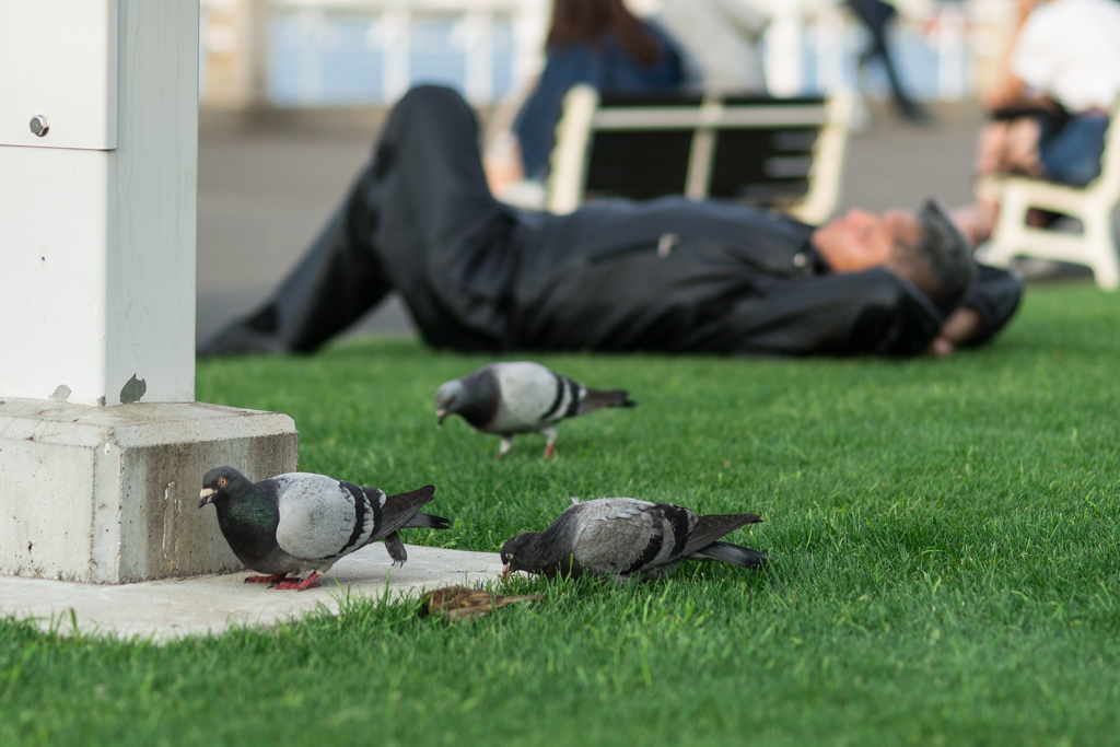 100マクロでヨコハマ・スナップ