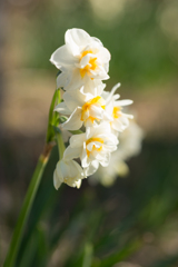 2021-08-07 城ヶ島