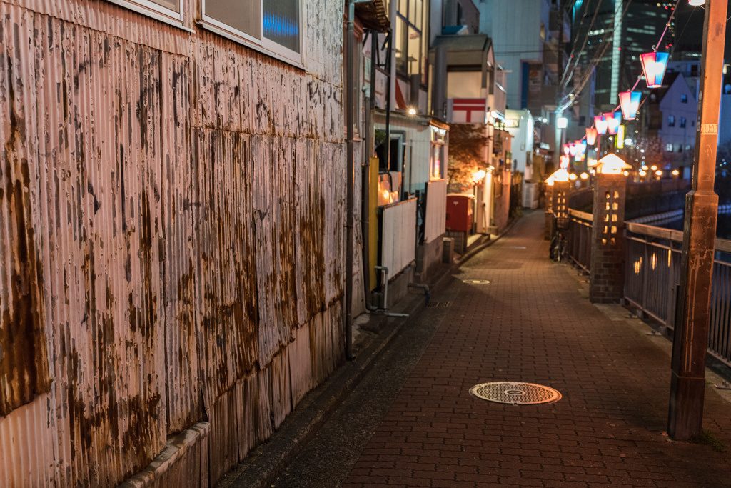 野毛　夜スナップ